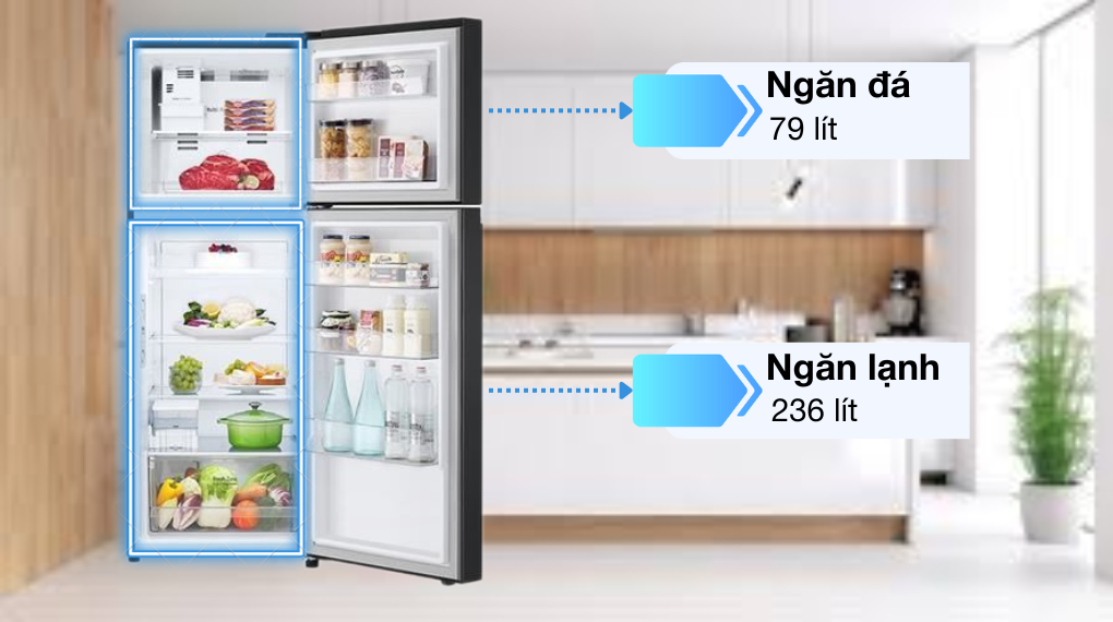 Tủ lạnh LG Inverter 315 lít LTB31BLMA - Dung tích