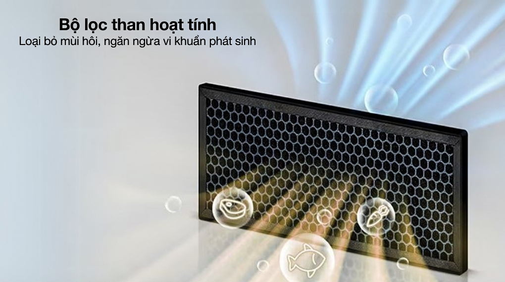 Tủ lạnh LG 217 lít LTB21BLMD - Công nghệ kháng khuẩn khử mùi