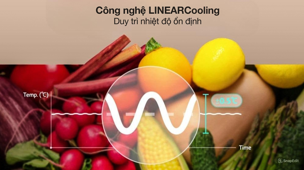 Tủ lạnh LG 217 lít LTB21BLMD - Công nghệ làm lạnh + Công nghệ bảo quản thực phẩm
