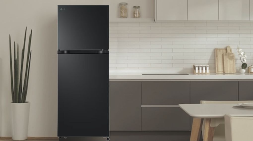 Tủ lạnh LG 217 lít LTB21BLMD - Tổng quan thiết kế