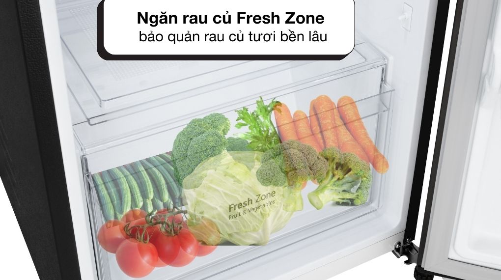 Tủ lạnh LG 217 lít LTB21BLMD - Ngăn lạnh