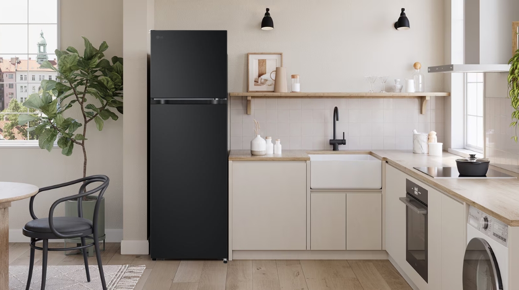 Tủ lạnh LG Inverter 266 lít LTB26BLM - Thiết kế Tủ lạnh LG Inverter 266 lít LTB26BLM - Thiết kế