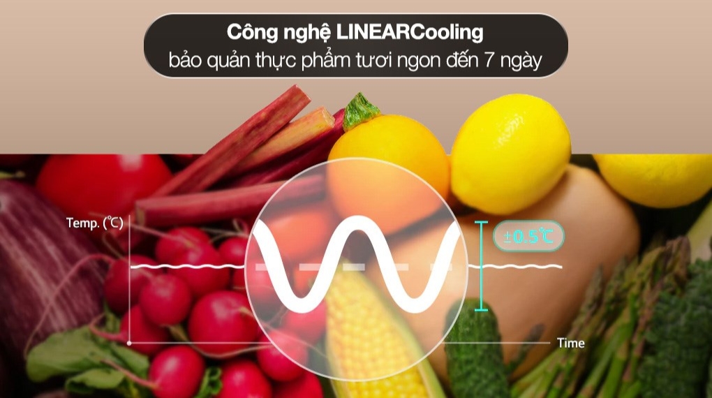 Tủ lạnh LG Inverter 266 lít LTB26BLM - Công nghệ bảo quản thực phẩm Tủ lạnh LG Inverter 266 lít LTB26BLM - Công nghệ bảo quản thực phẩm