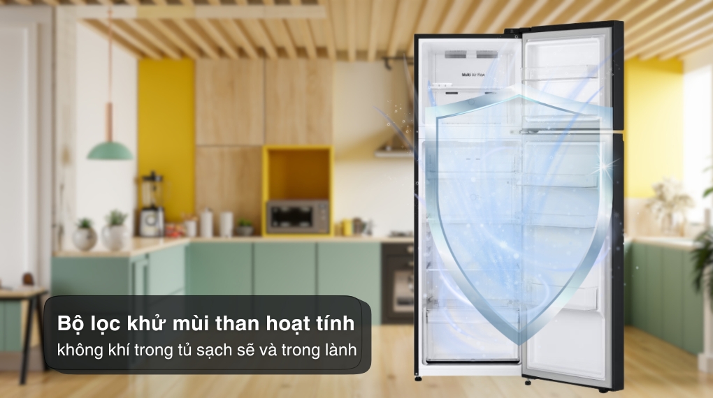 Tủ lạnh LG Inverter 266 lít LTB26BLM - Công nghệ kháng khuẩn khử mùi Tủ lạnh LG Inverter 266 lít LTB26BLM - Công nghệ kháng khuẩn khử mùi
