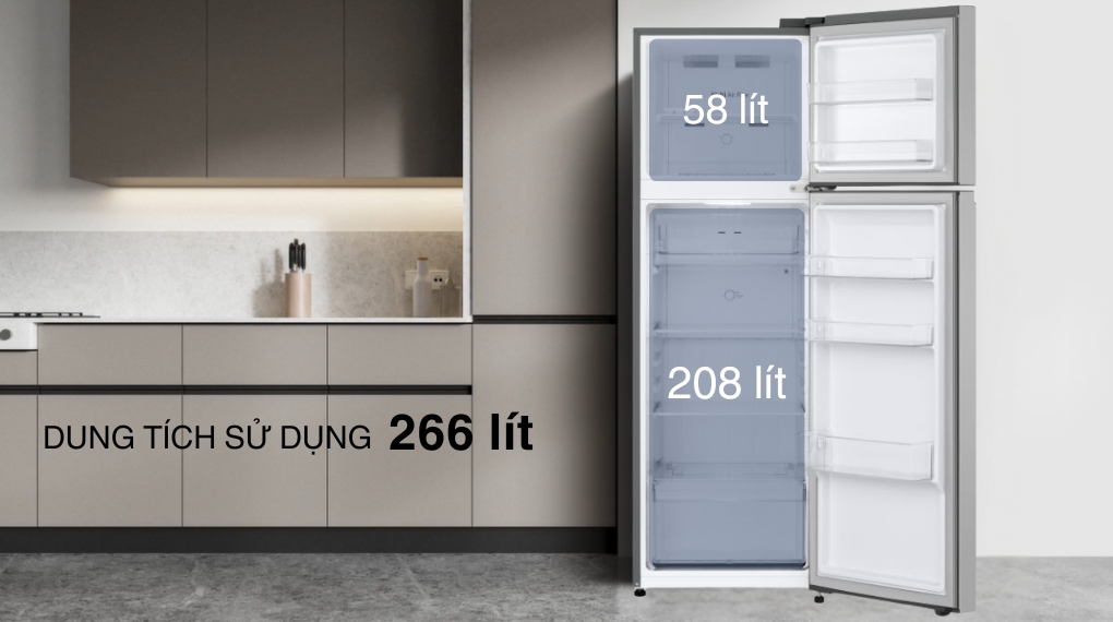 Tủ lạnh LG Inverter 266 lít LTB26SVM - Dung tích tủ