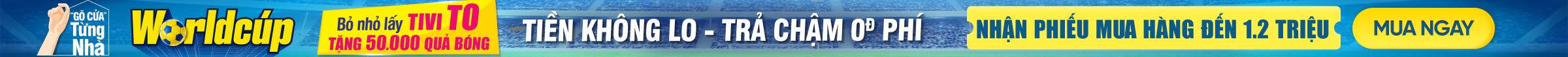Tivi worldcup