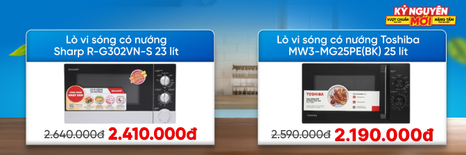 Lò vi sóng DESK 25L