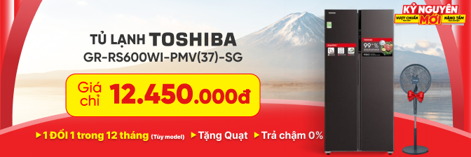 Tủ lạnh Toshiba 2