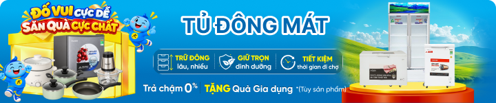 Tủ đông