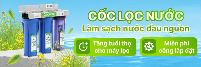 Cốc lọc nước đầu nguồn