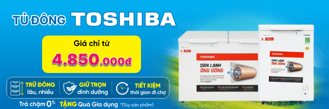ĐÔNG MÁT TOSHIBA