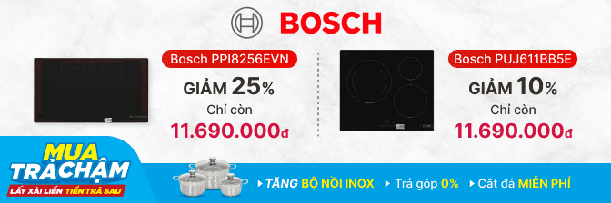 bosch