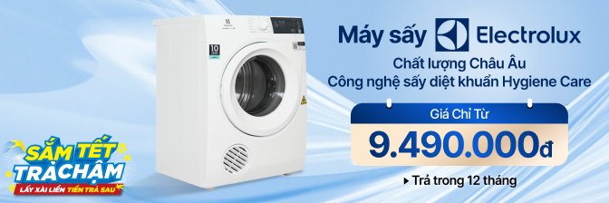 MÁY SẤY ELEC