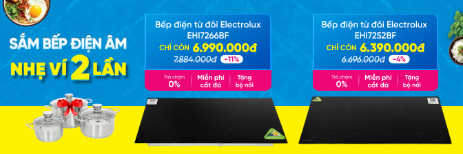 Bếp từ đơn