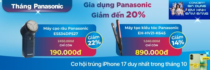 PANASONIC GD T10