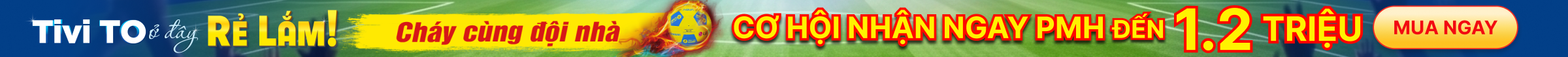 AFF CUP TIVI
