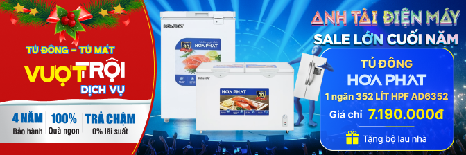 Tủ đông Hòa Phát - 7,2025