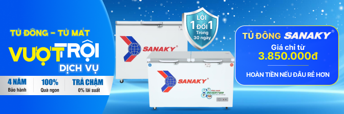 Tủ đông Sanaky