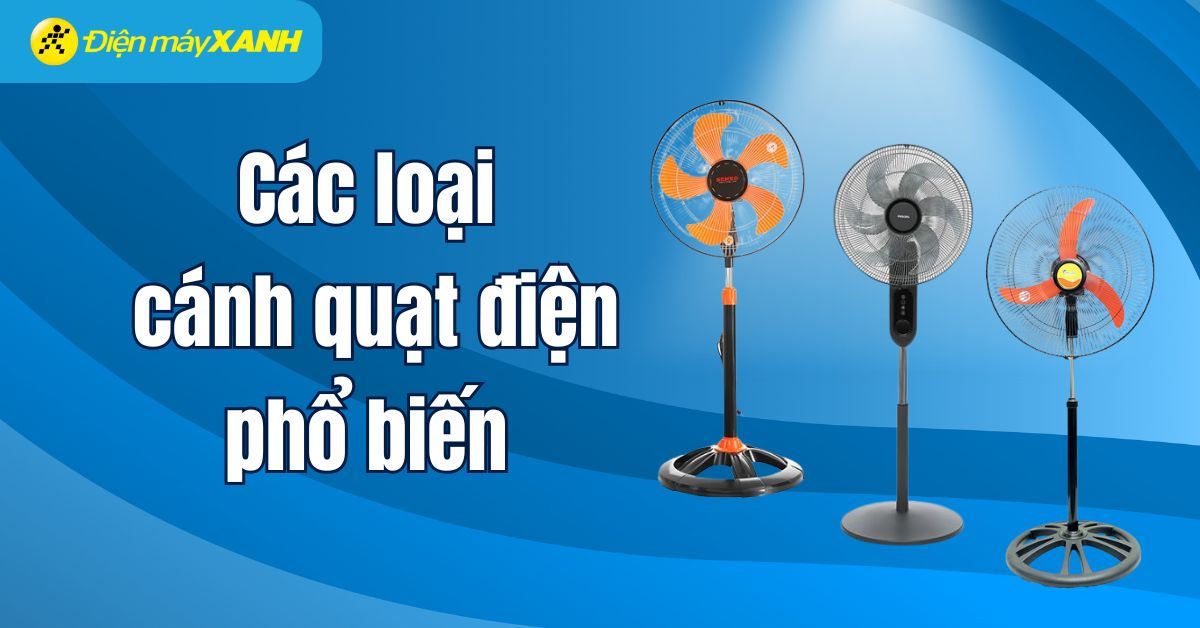 Khám phá các loại cánh quạt điện phổ biến và chọn lựa phù hợp nhất 