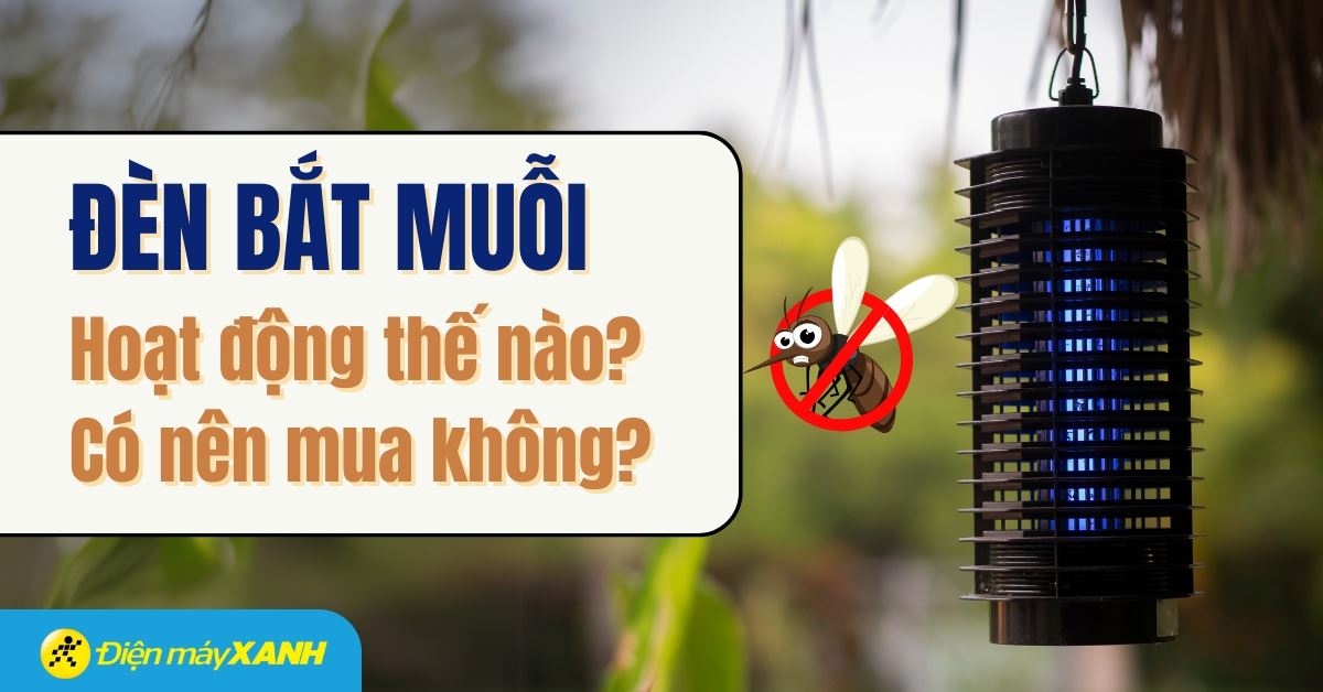 Đèn bắt muỗi hoạt động như thế nào? Có nên mua hay không?