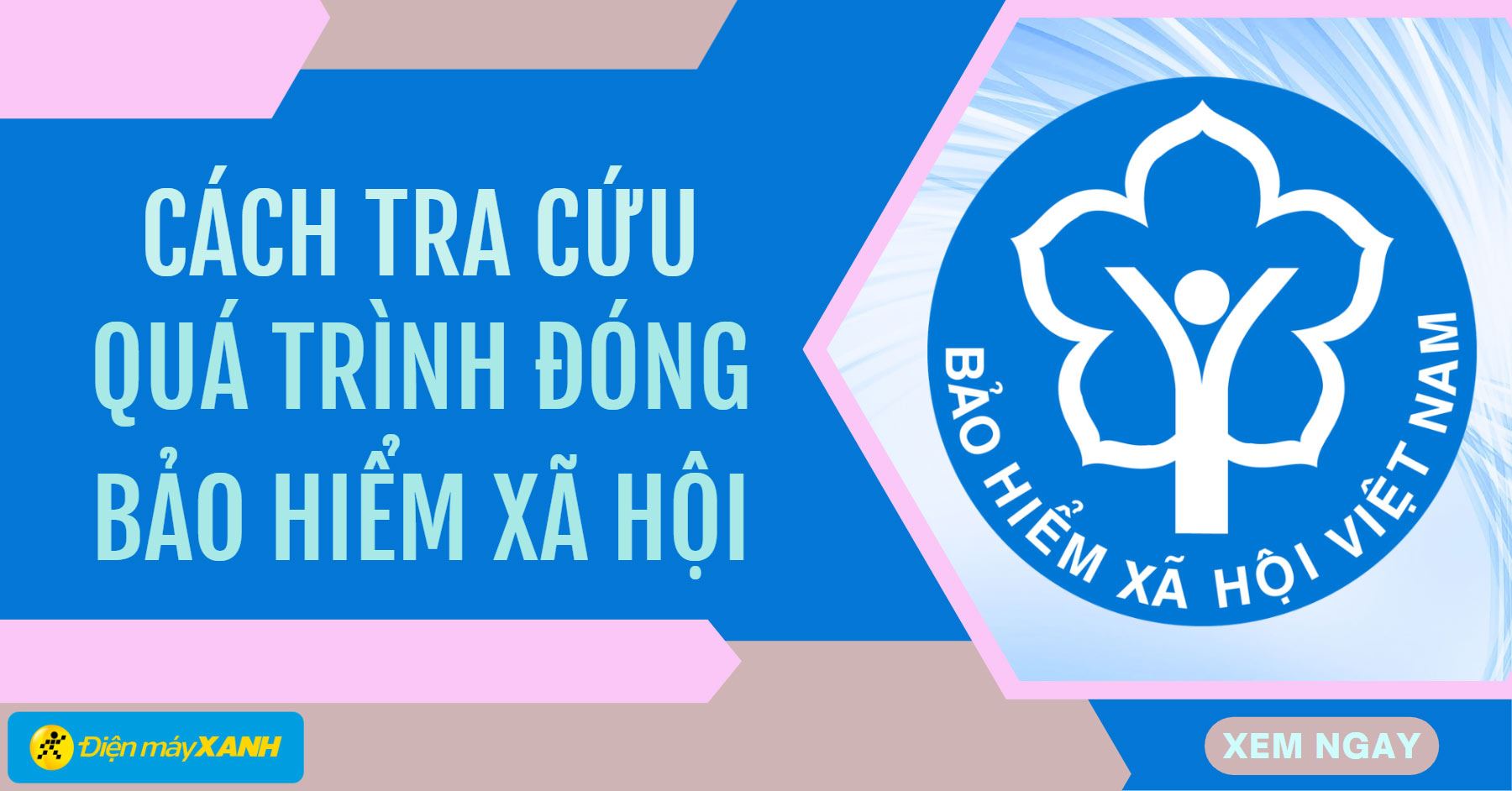 2 cách tra cứu quá trình đóng BHXH vô cùng đơn giản, nhanh chóng