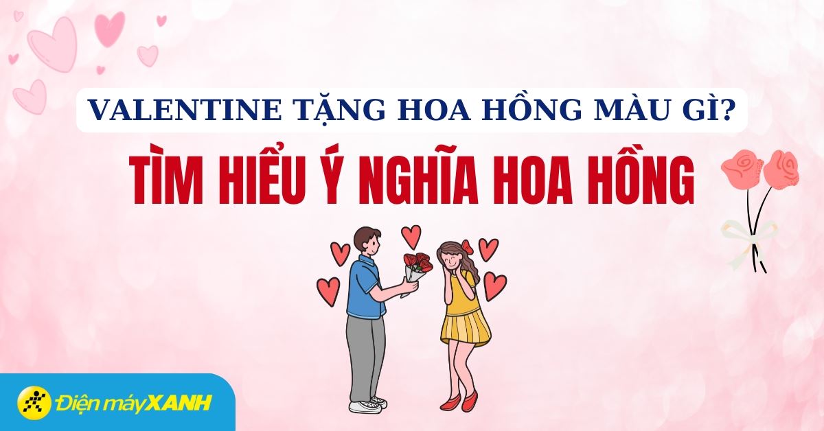 Valentine tặng hoa hồng màu gì? Khám phá ý nghĩa của hoa hồng giúp chinh phục trái tim nàng