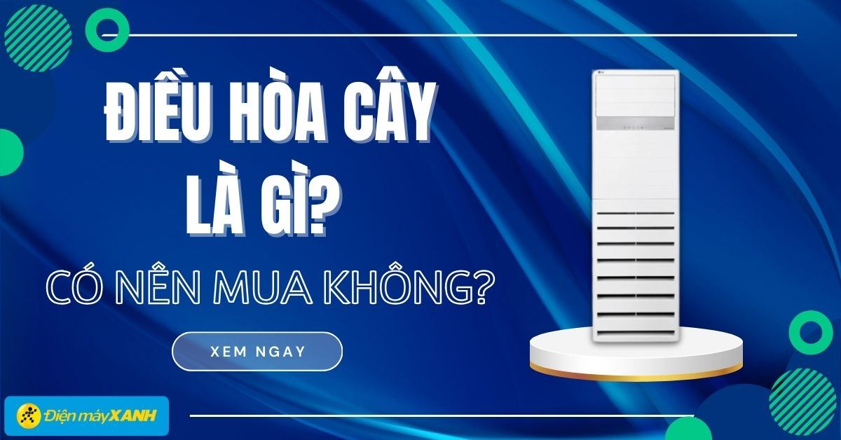 Điều hòa cây là gì? Có nên mua điều hòa cây không?