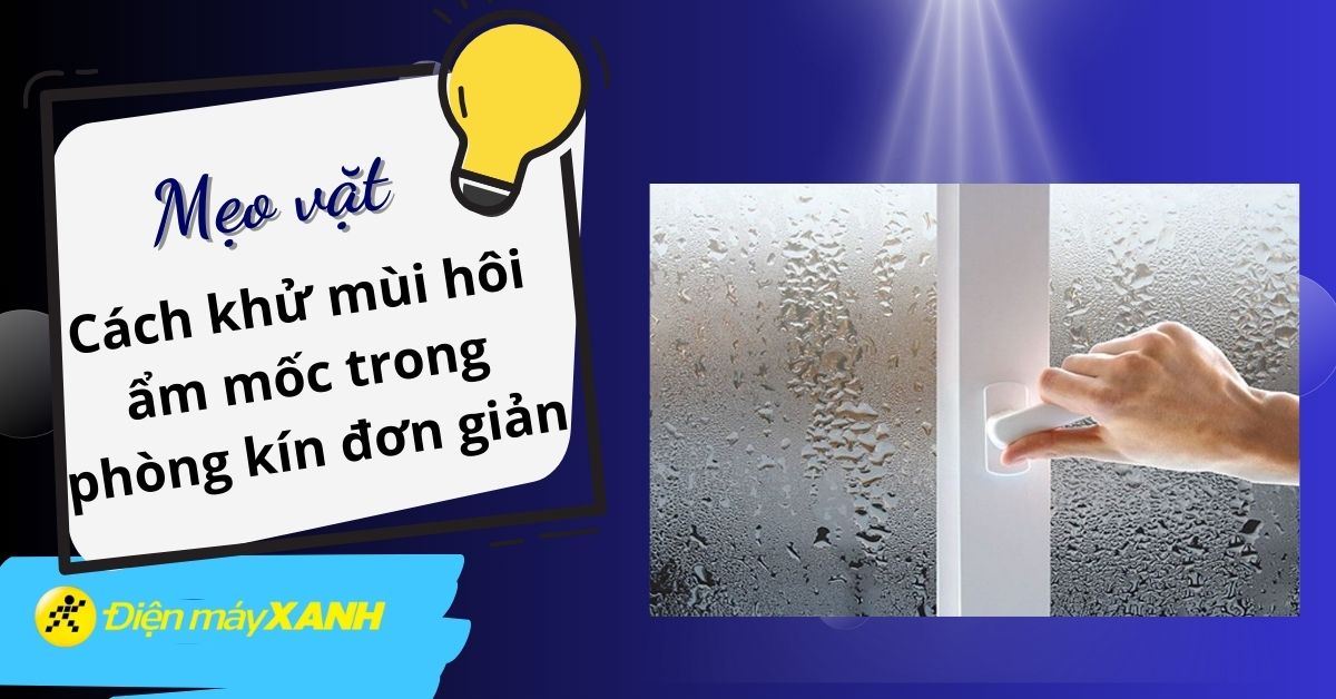 10 cách khử mùi hôi ẩm mốc trong phòng kín đơn giản vào mùa nồm ẩm ướt