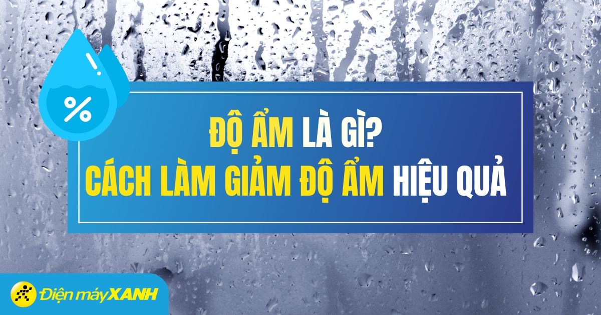 Độ ẩm không khí là gì? Cách giảm độ ẩm trong phòng hiệu quả