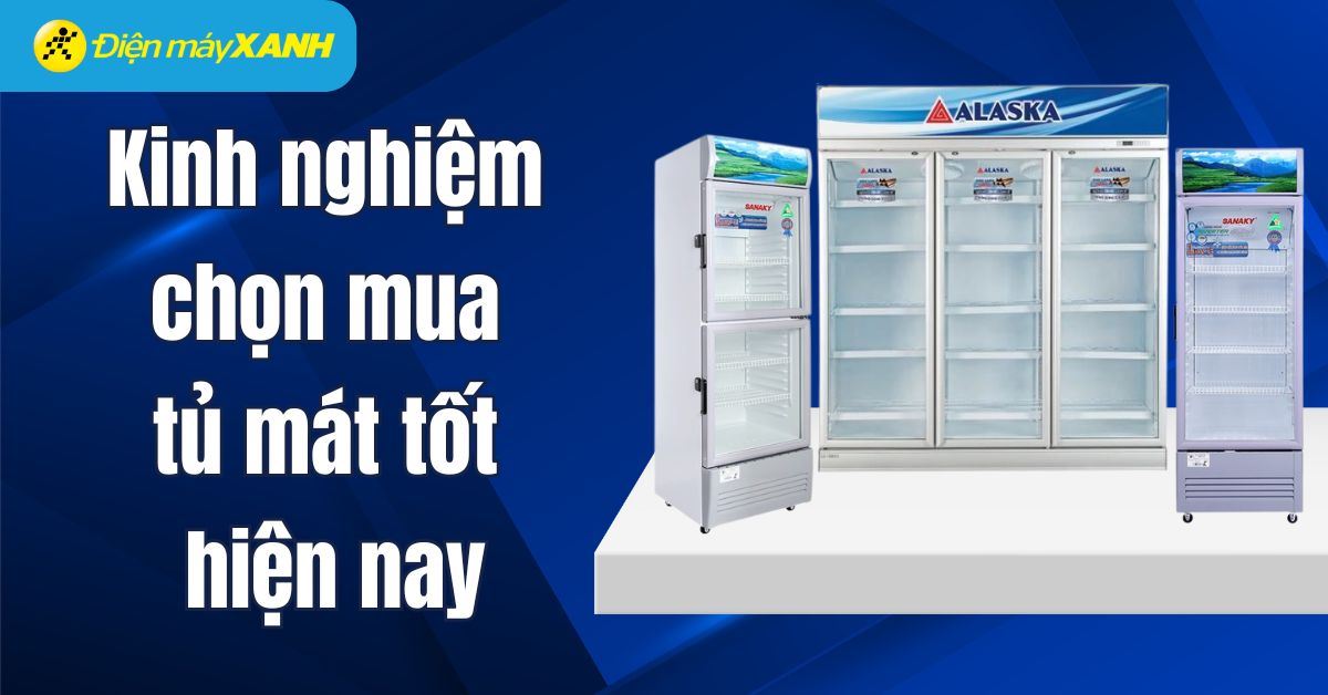Kinh nghiệm chọn mua tủ mát tốt nhất hiện nay