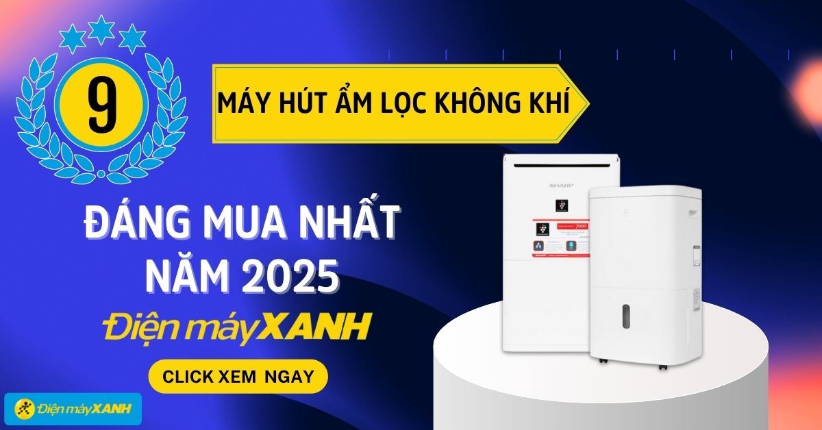 Máy hút ẩm lọc không khí loại nào tốt? Top 9 máy hút ẩm lọc không khí đáng mua nhất 2025