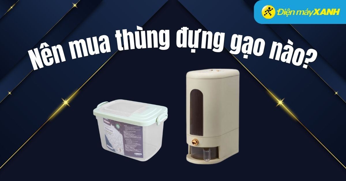 Các loại thùng đựng gạo trên thị trường, nên mua thùng đựng gạo nào?