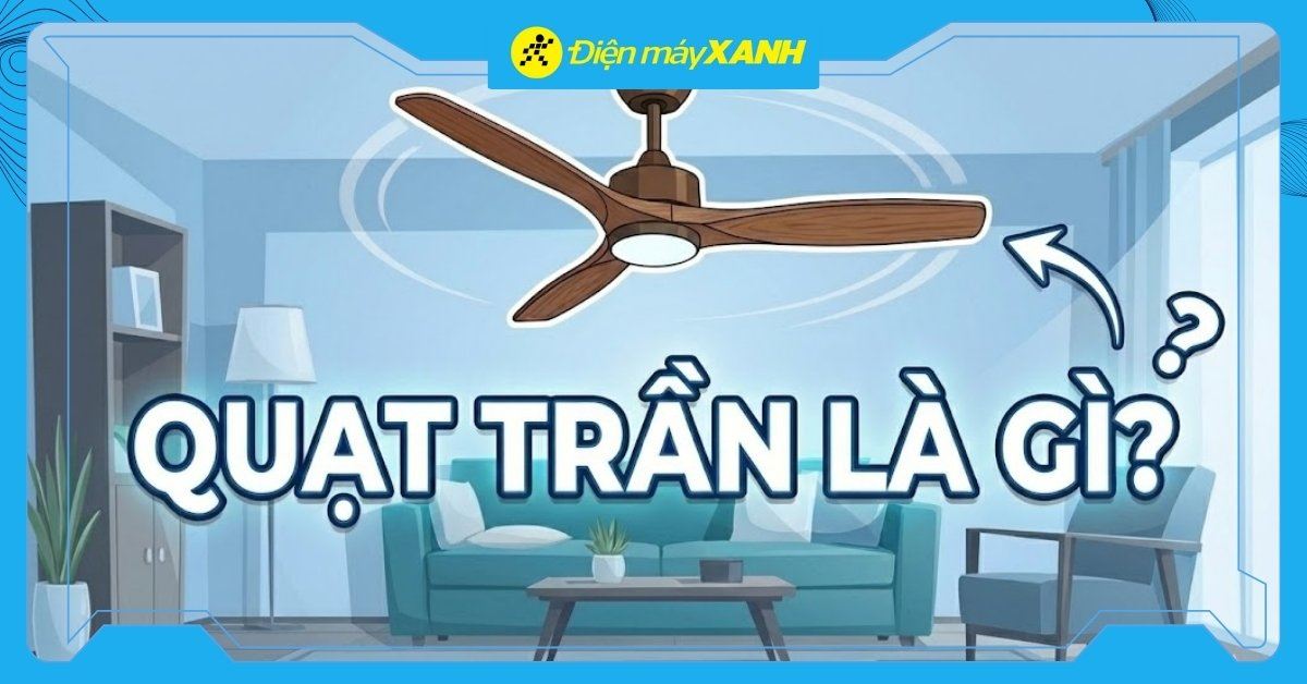 Quạt trần là gì? Nguyên lý hoạt động và cấu tạo của quạt trần