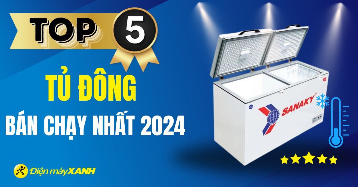 Top 5 tủ đông bán chạy nhất năm 2024 tại Điện máy XANH