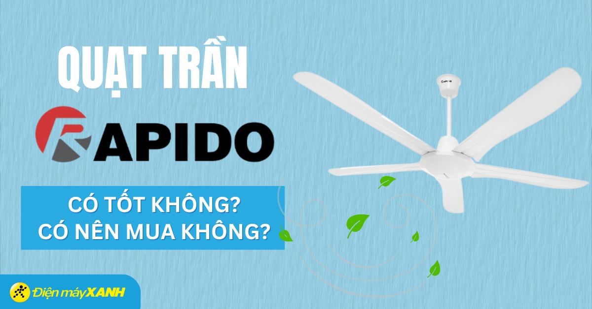 Quạt trần Rapido của nước nào? Có tốt không? Có nên mua không?