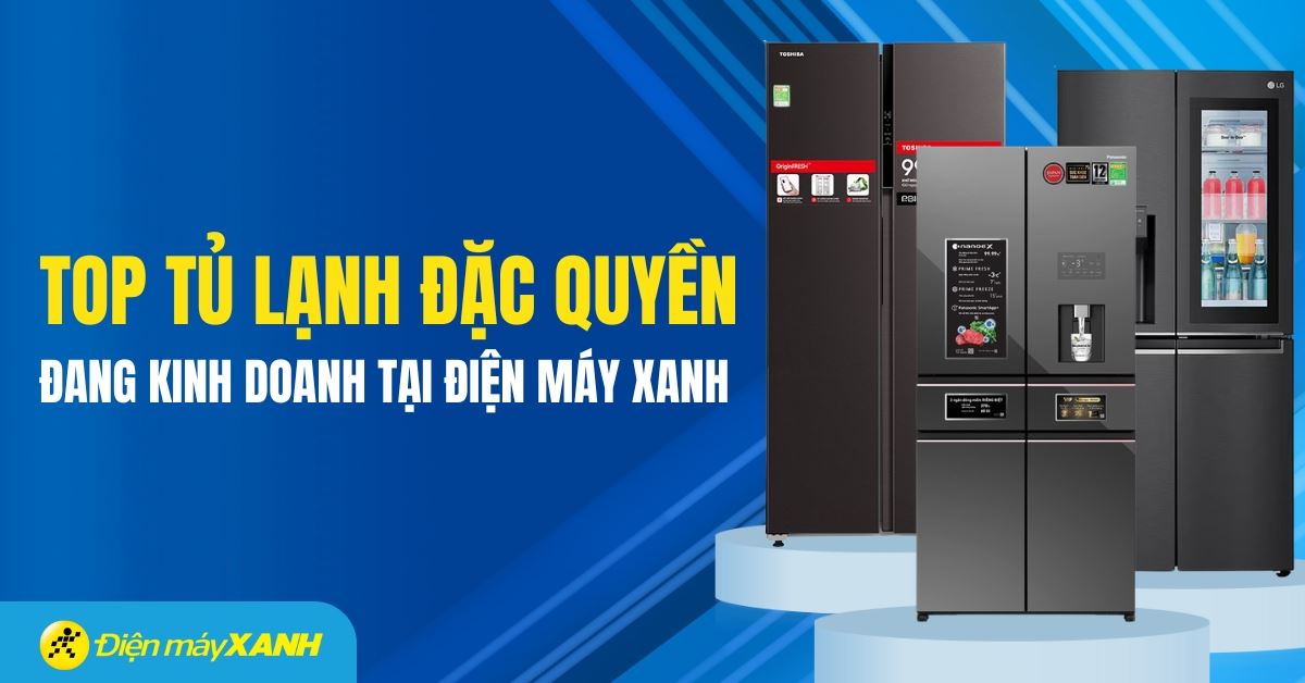 Các hãng tủ lạnh đặc quyền đang kinh doanh tại Điện máy XANH 2026