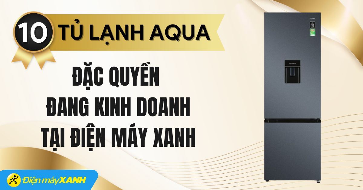 Top 10+ tủ lạnh AQUA đặc quyền đang kinh doanh tại Điện máy XANH