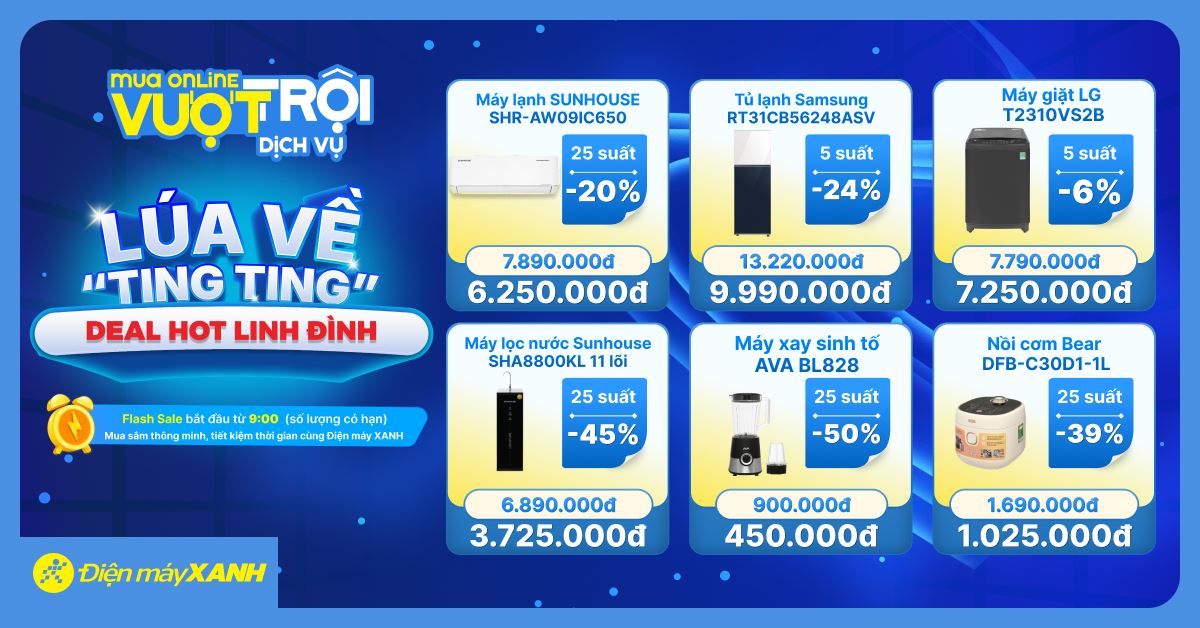 LÚA VỀ "TING TING" - DEAL HOT LINH ĐÌNH
