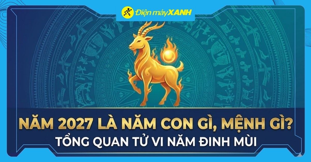 Năm 2027 là năm con gì, mệnh gì? Tổng quan tử vi năm Đinh Mùi