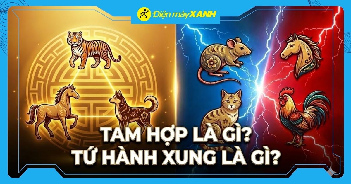 Tam hợp là gì? Tứ hành xung là gì? Ý nghĩa phong thuỷ 2026