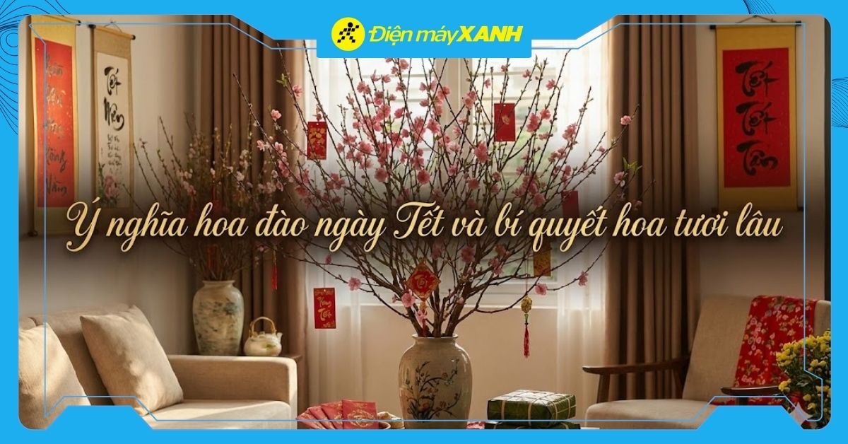 Ý nghĩa hoa Đào ngày Tết và bí quyết giữ hoa bung nở rực rỡ suốt Tết