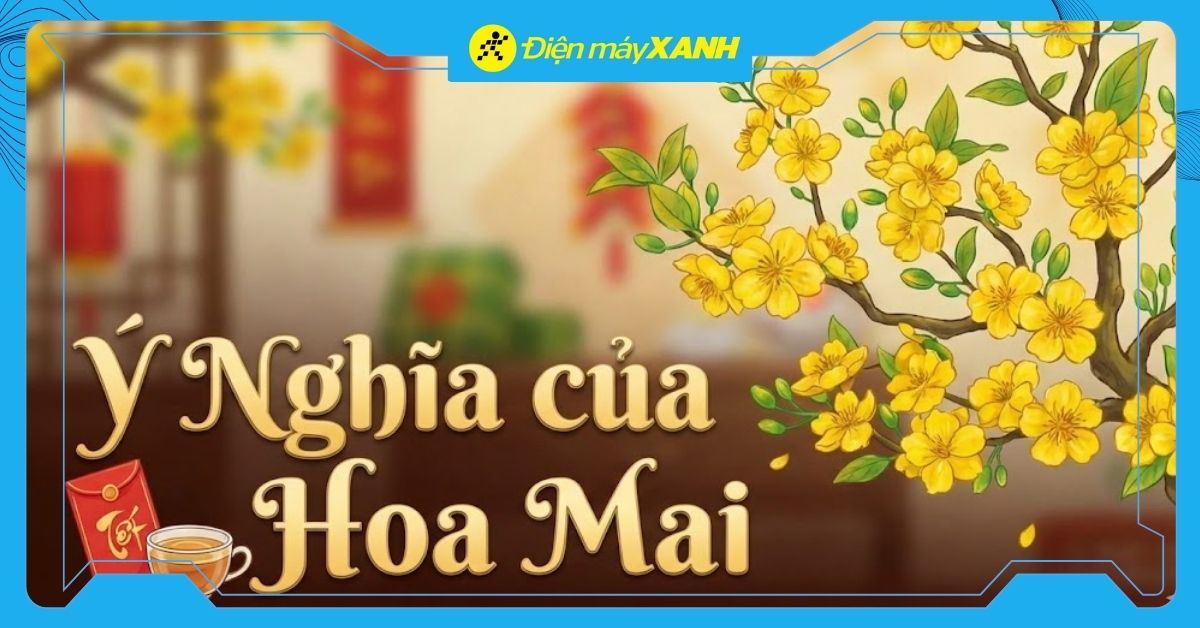 Ý Nghĩa Hoa Mai Và Bí Quyết Chăm Sóc Nở Rộ Đón Tết