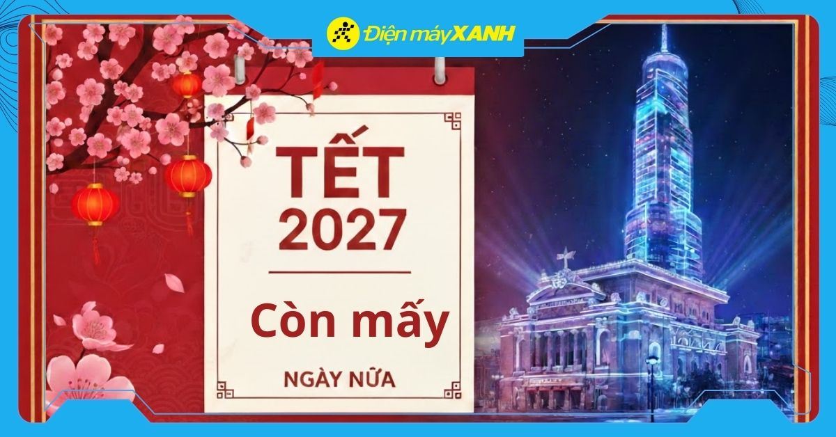 Còn bao nhiêu ngày nữa đến tết 2027? Đếm ngược đến Tết Đinh Mùi 2027