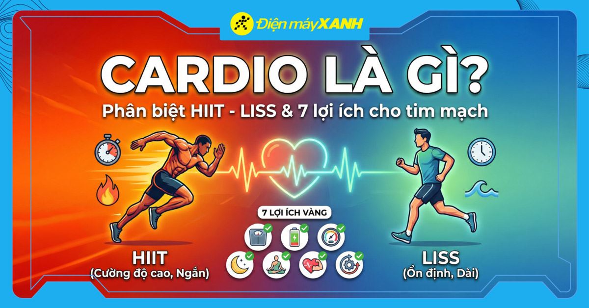 Cardio là gì? Phân biệt HIIT - LISS và 7 lợi ích cho tim mạch