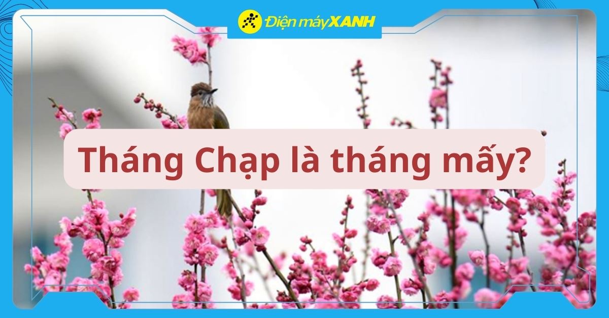 Tháng Chạp là tháng mấy? Có ý nghĩa gì? Gợi ý mẹo dọn nhà đón Tết