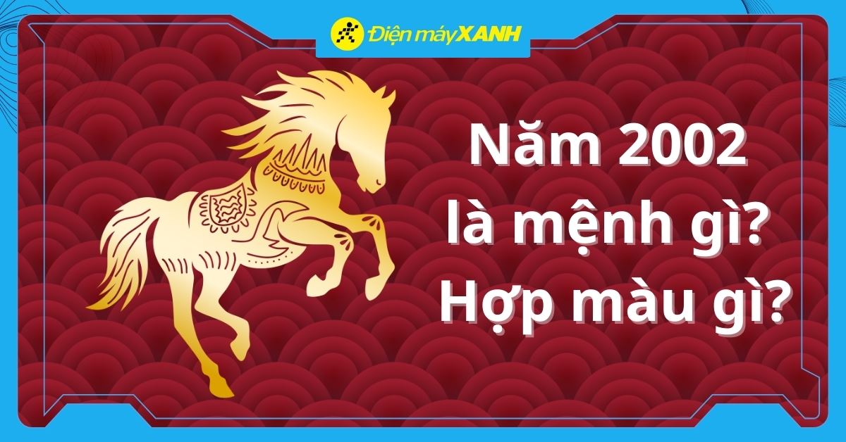Sinh năm 2002 (Nhâm Ngọ) là mệnh gì? Hợp màu gì? Hợp với tuổi nào?