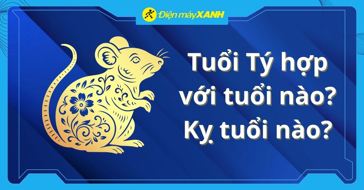 Tuổi Tý hợp với tuổi nào? Kỵ tuổi nào? Cách chọn đồ đúng màu may mắn
