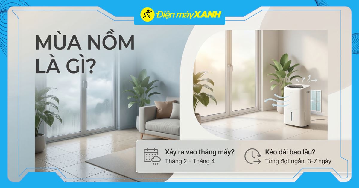 Mùa nồm là gì? Nguyên nhân và cách chống nồm ẩm trong nhà hiệu quả nhất