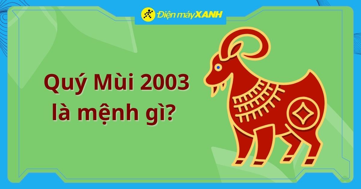 Quý Mùi 2003 là mệnh gì? Hợp với tuổi nào? Gợi ý chọn đồ hợp mệnh