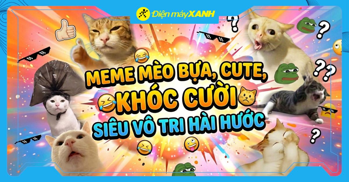 500+ meme mèo bựa, cute, khóc cười siêu vô tri cực hài hước cho các sen